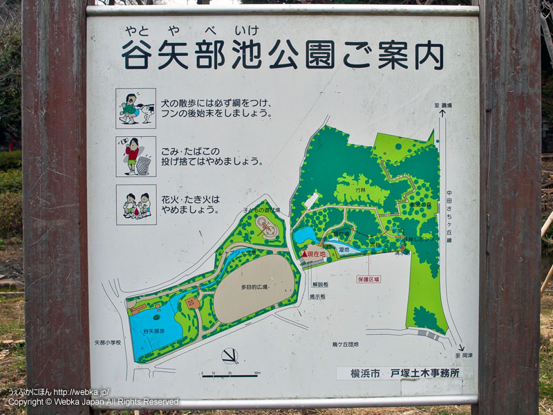 谷矢部池公園