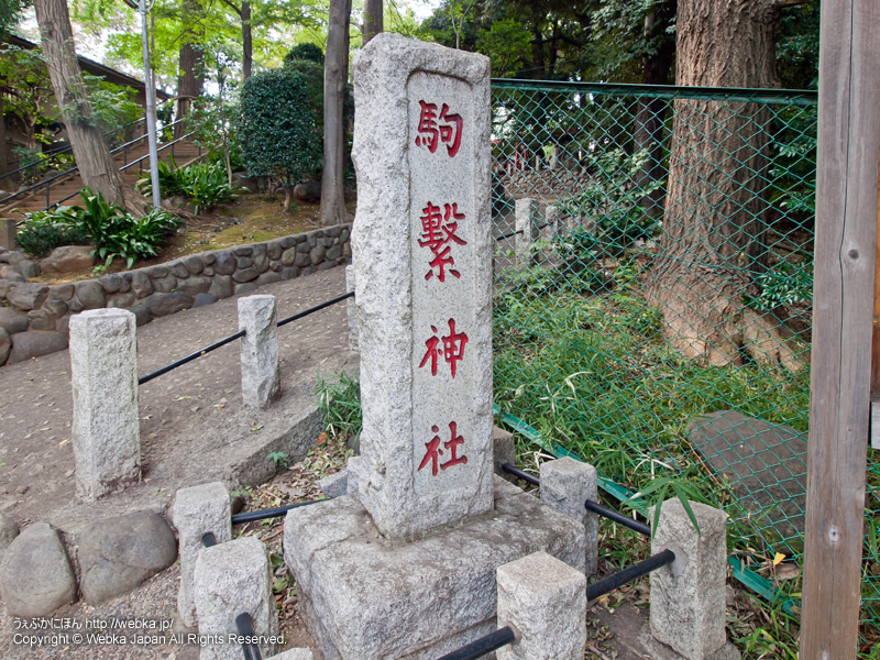 駒繋神社の画像１